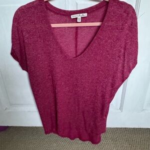 Express Deep knit Short Sleeve V-Neck Tee